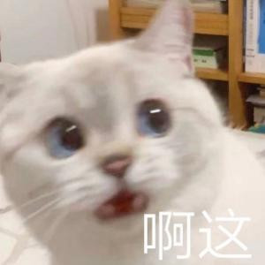 小蜗牛