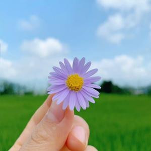 破茧成长