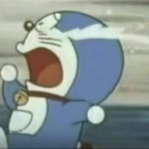 秦舟舟