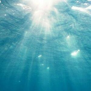 浪荡成性