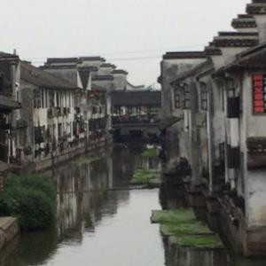 美人如玉剑如虹