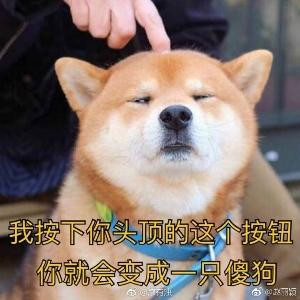 阿坏