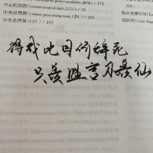 平生一顾