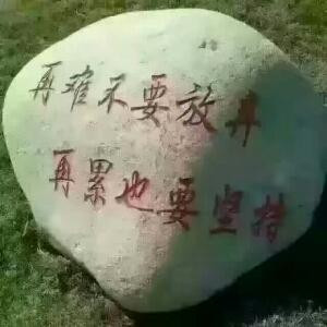 萍萍