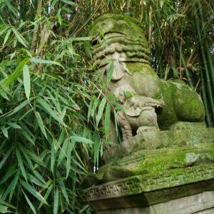 彼岸花开的凄凉