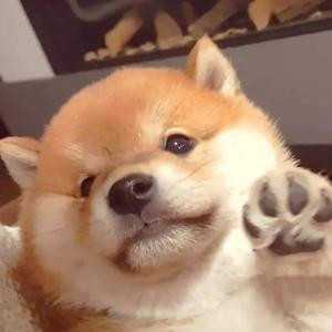 吃饭叫我