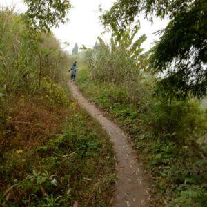 冰月天野的书房