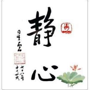 静心