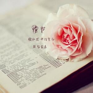 是否自由