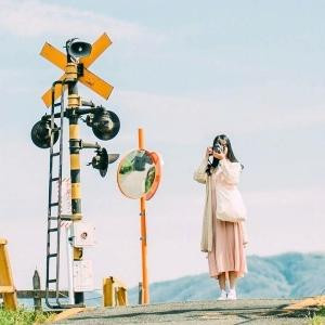 默许浮生