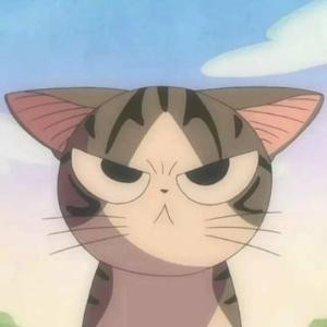 甜甜私房猫