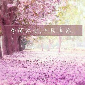 浅浅的花     浅浅的绿