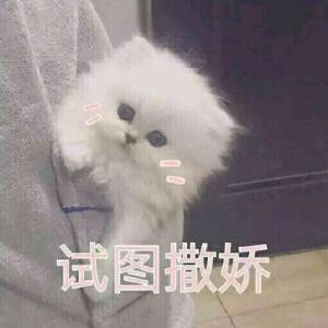 缄默