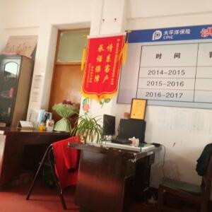 寂寞的小鸟