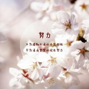 泼墨画霓裳