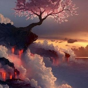 梦幻