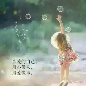 枫叶