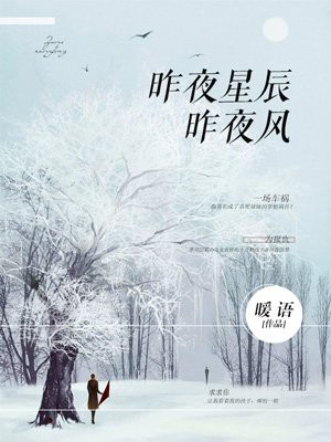 昨夜星辰昨夜风