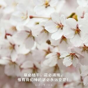 亦的梦