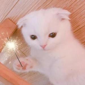 唯一