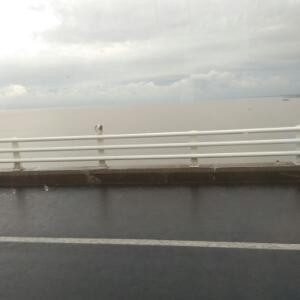 浪涛涛