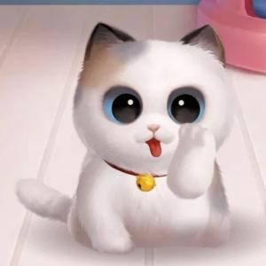 斯人若彩虹xl