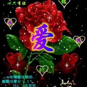 书神