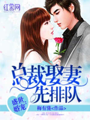 总裁娶妻先排队