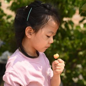 孙家二姑奶奶