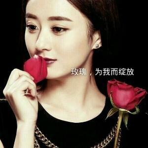 山有木兮木有枝