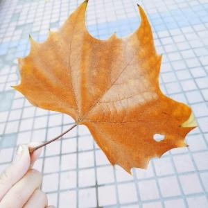 执着