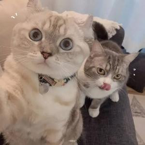 转角等你转身