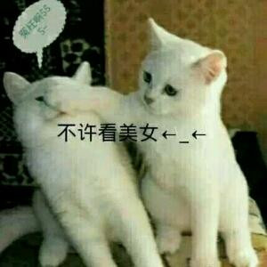 数学朕要废了你