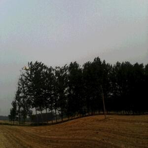 风清云淡