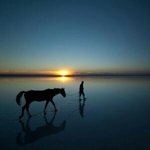 人生若只如初见