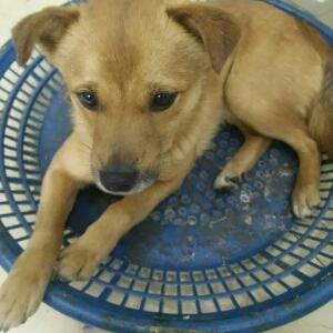 聆听、你的哀伤