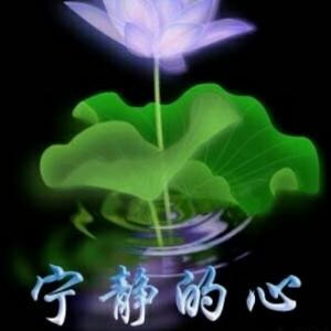 老狼主