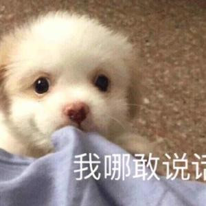 静以修身