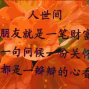 沙漠里的小草