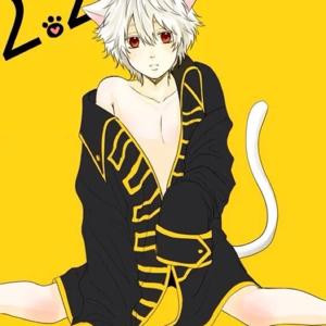 小熊