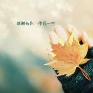 媛媛