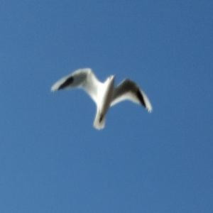 起个名真难