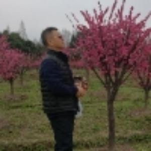 涛声依旧