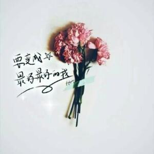 樱梦之黎