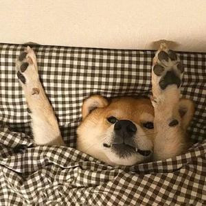 子然