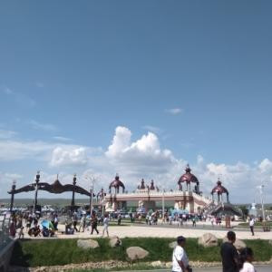书虫