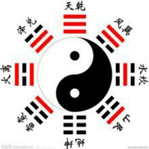 一捧书香手中握
