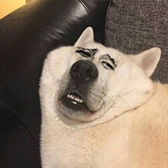 绝色总裁爱上我