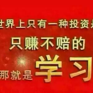 大地飞鹰