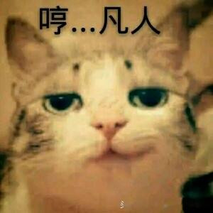 爻莫辰